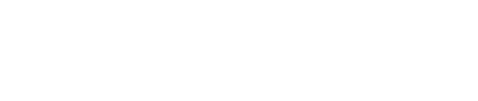 Velocity